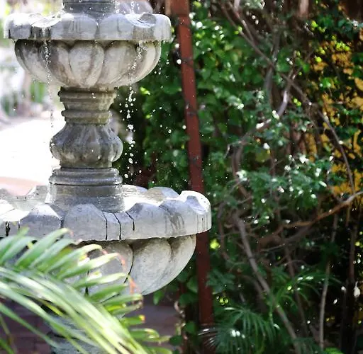 Bed and breakfast The Mexican Cabo San Lucas
