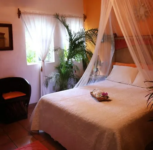 The Mexican Bed and breakfast Cabo San Lucas