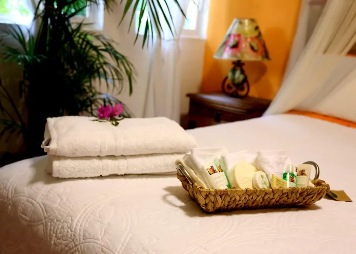 Bed and breakfast The Mexican 3*