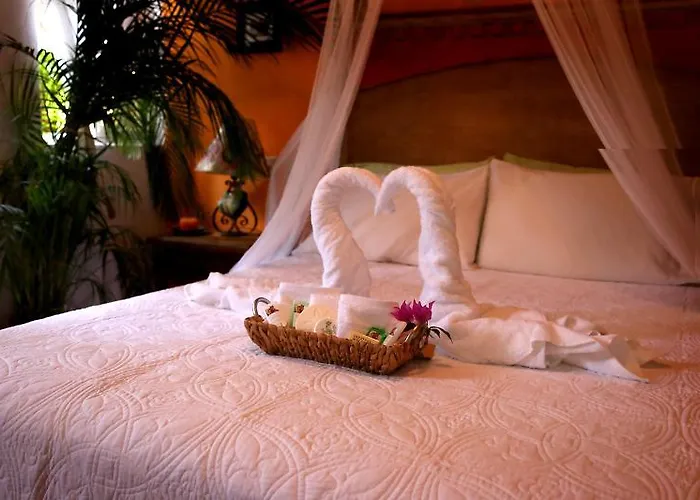 Bed and breakfast The Mexican 3*