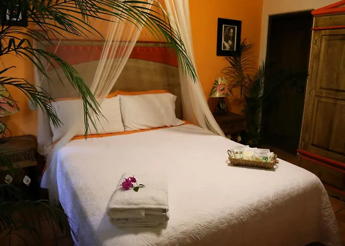 Bed and breakfast The Mexican Cabo San Lucas